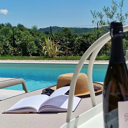 Ze Istrian Design With Massage Pool Villa *