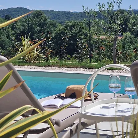 Villa Ze Istrian Design With Massage Pool Vela Traba